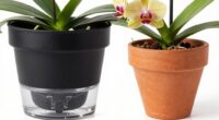 automatic moisture regulation system