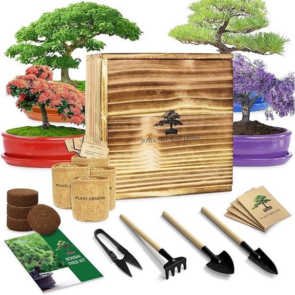beginner bonsai tree kit