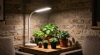 brighten dark apartment spaces