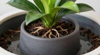 choose appropriate pot size