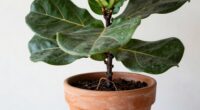 choose appropriately sized pots
