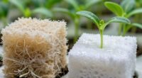 coco vs rockwool differences