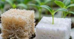 coco vs rockwool differences
