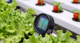 combined meters streamline monitoring