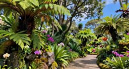 conservation of rare plants