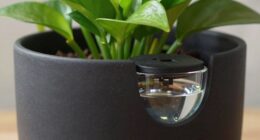 convenient efficient watering solution