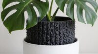 designed for monstera growth