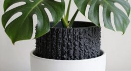 designed for monstera growth