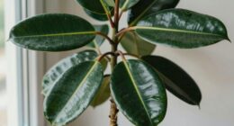 durable attractive easy care