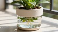 effortless plant hydration management