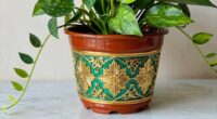 enhance decor without root disturbance