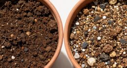 enhance potting mix drainage
