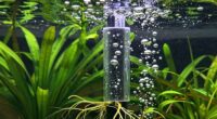 enhance root oxygenation efficiency