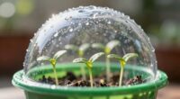 enhanced germination environment