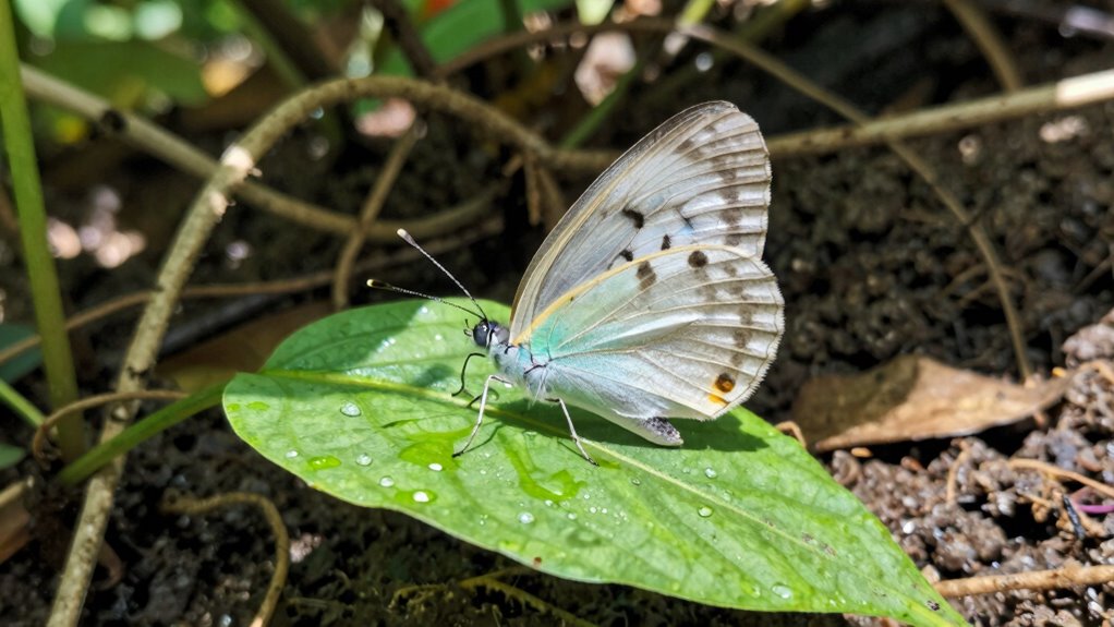 genetic environmental reproductive constraints