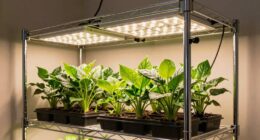 grow light shelving options