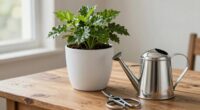 high quality functional gardening essentials