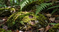 identify habitat indicators first