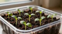 importance of indoor seed mixes