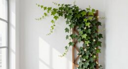 indoor climbers space saving support