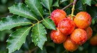 leafy greens differ nutritionally