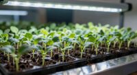 led grow light tips