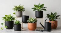 luxury plant accessory arrangements