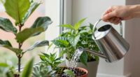 maintain regular watering schedule