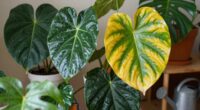 manage winter dormancy periods