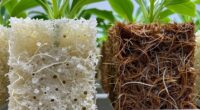 material properties affecting growth