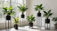 maximize light elevate plants