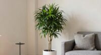 maximize space with vertical greenery