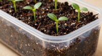 optimal self watering potting mixes
