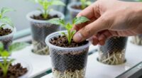 proper net pot placement