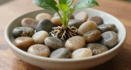proper pebble tray usage