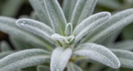 protection and moisture retention