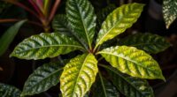 rare plants require intense lighting