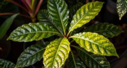 rare plants require intense lighting