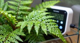 regulate humidity for safety