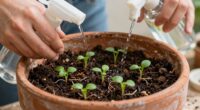 revive soil without repotting