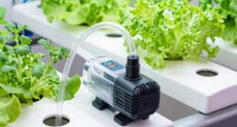 selecting appropriate pump size