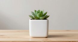 simple sleek plant containers