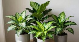 small easy care tropical plants