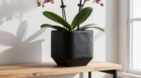 stylish airflow enhancing planters