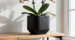 stylish airflow enhancing planters
