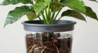 suitable for large plants
