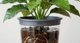 suitable for large plants