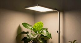 support for indoor plants