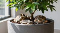 supports healthy root growth