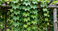 supports prevent plant damage